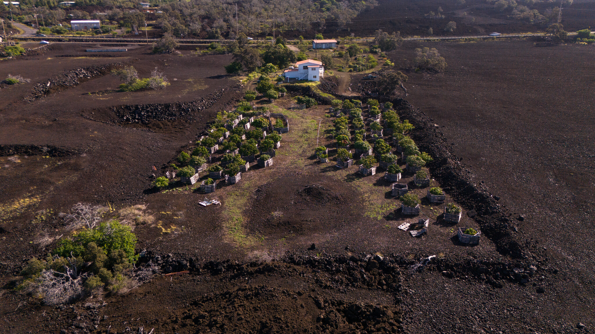 92-8305 Mamalahoa Highway Property Photo 12