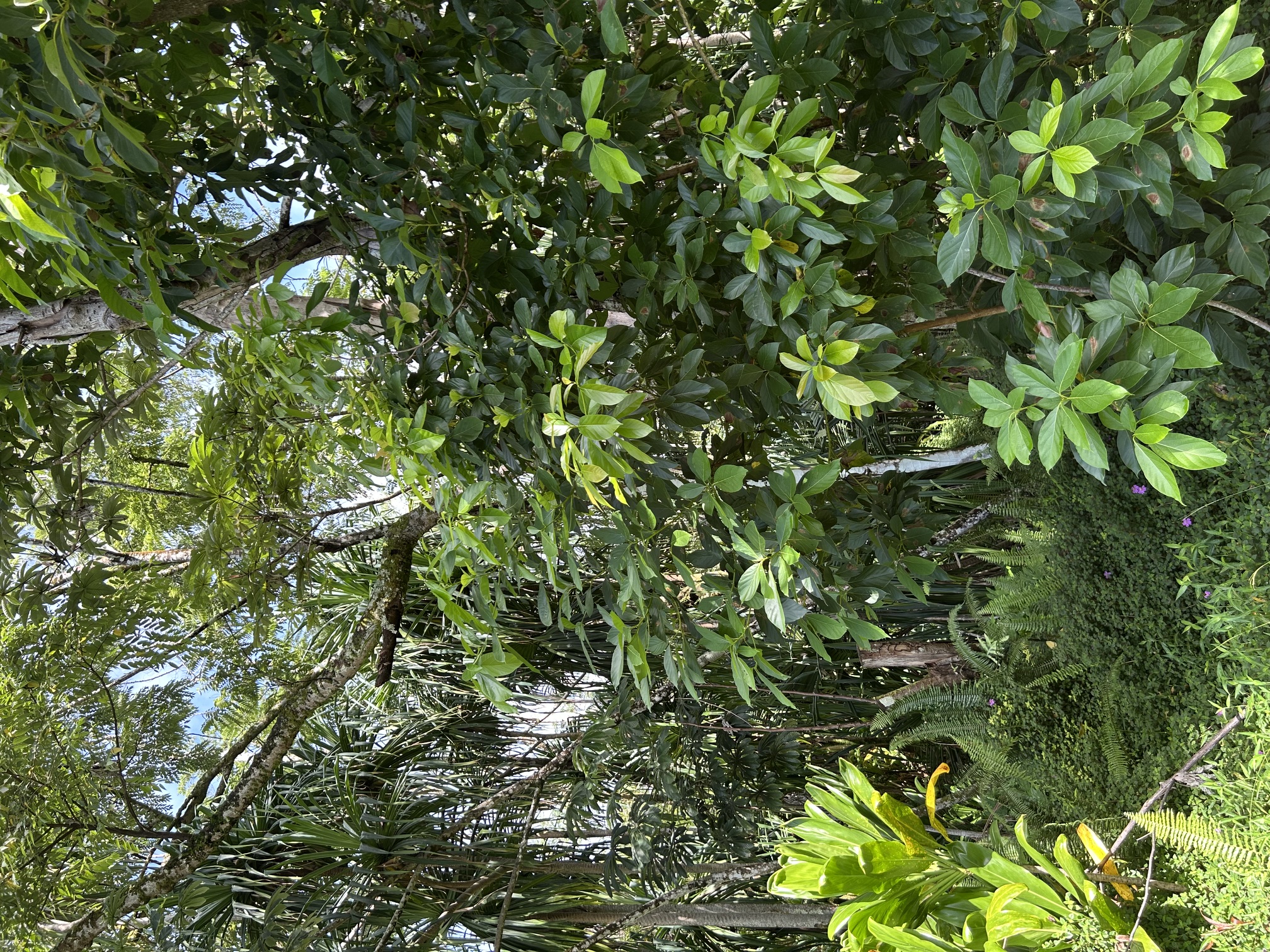Puni Makai Loop Property Photo 7