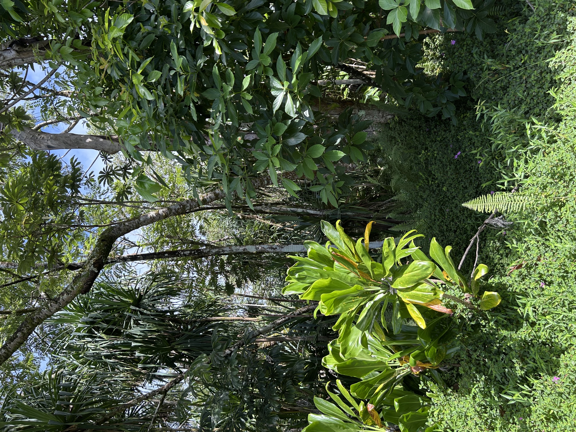 Puni Makai Loop Property Photo 8