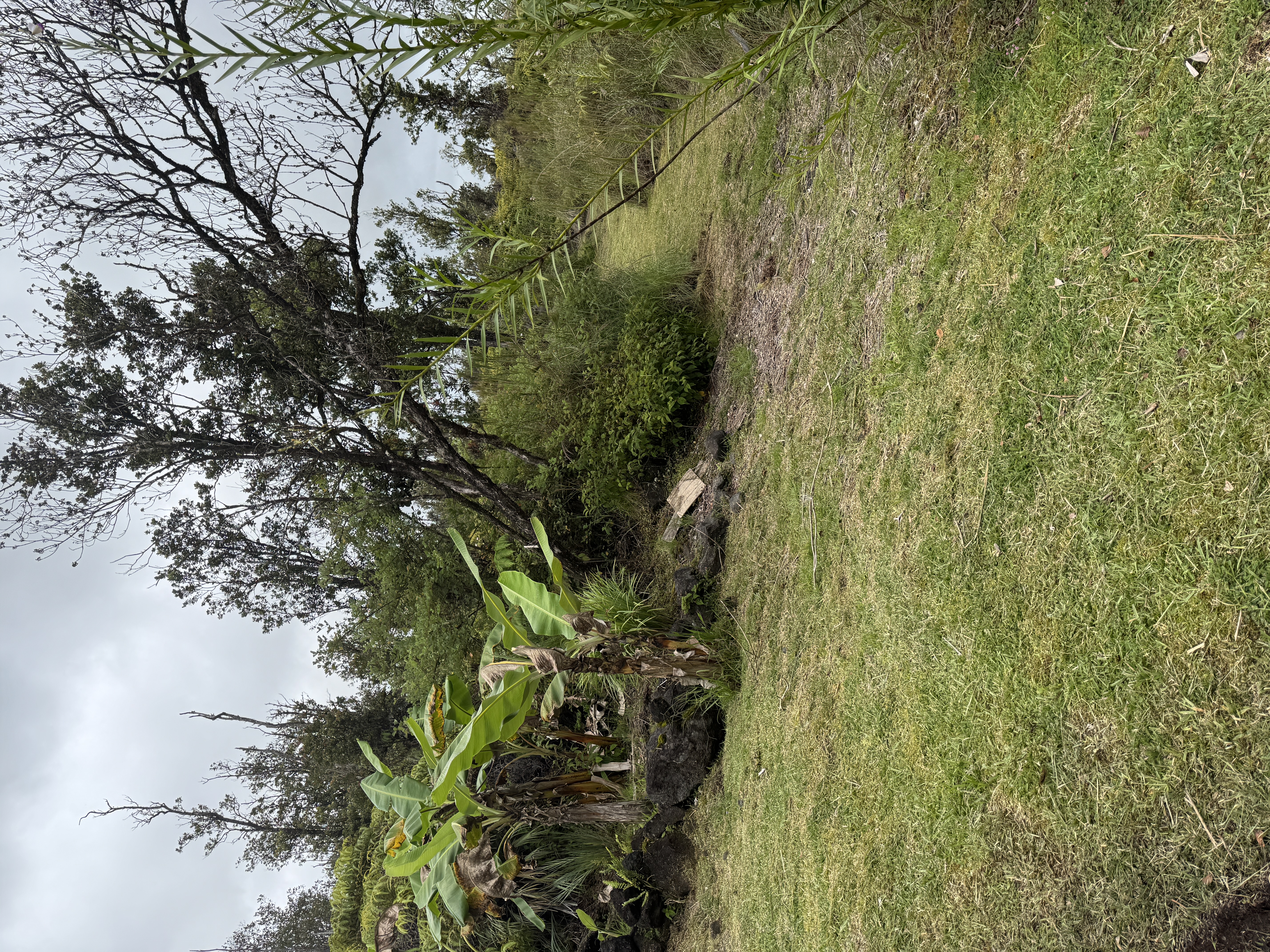 11-2218 Ohialani Rd Property Photo 16
