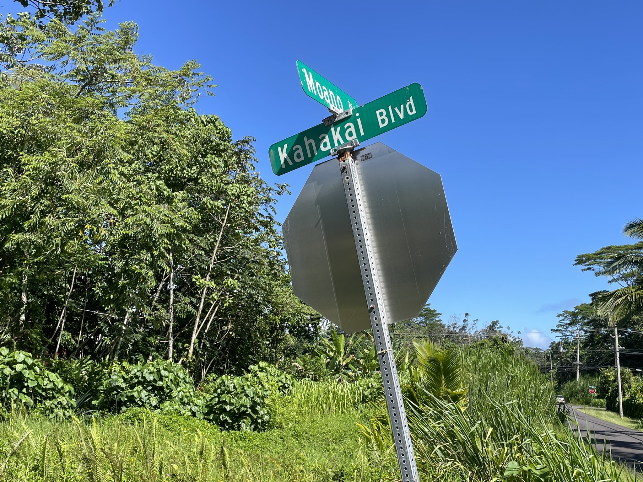 N Kahakai Blvd Property Photo 3
