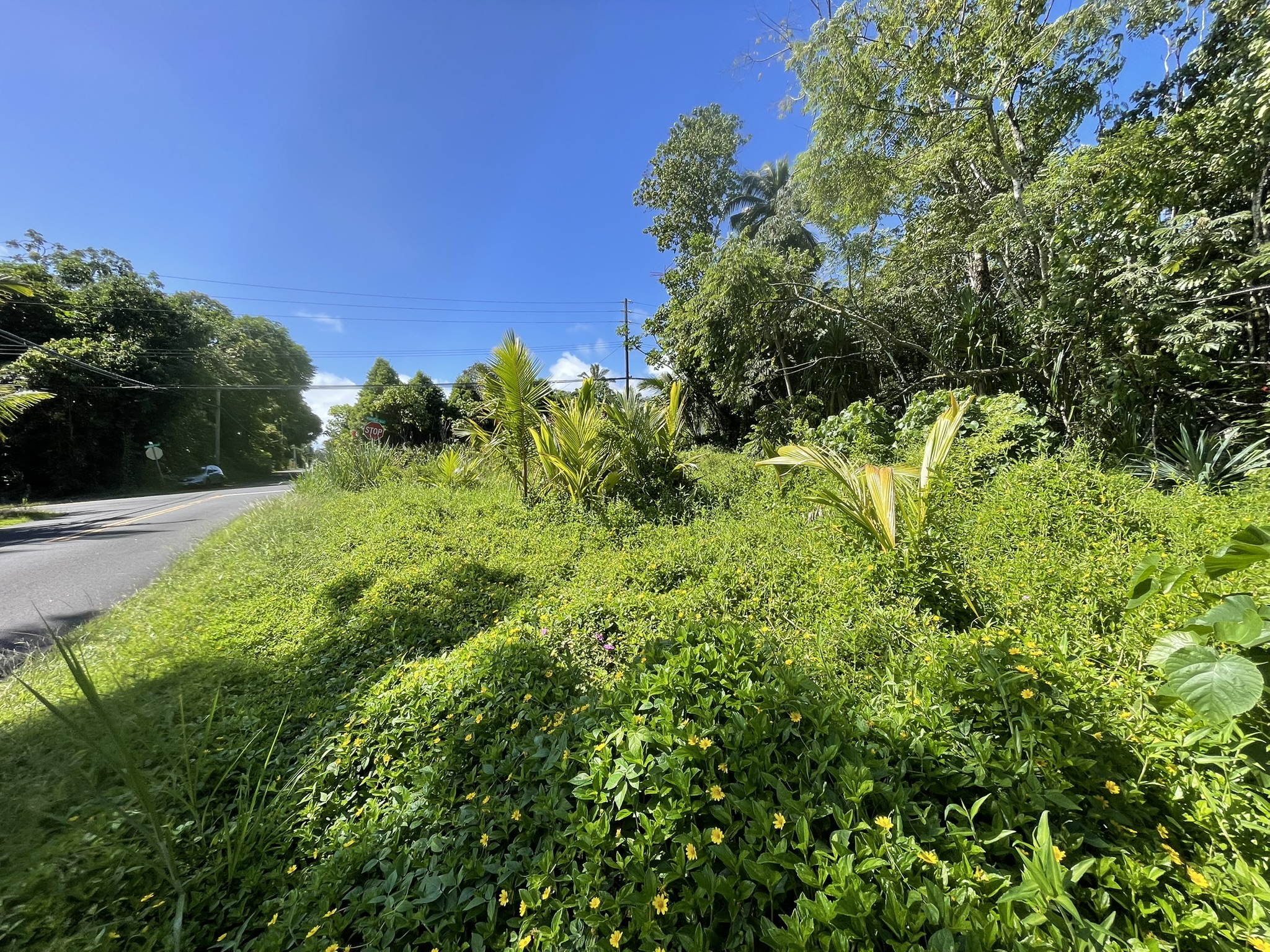 N Kahakai Blvd Property Photo 9