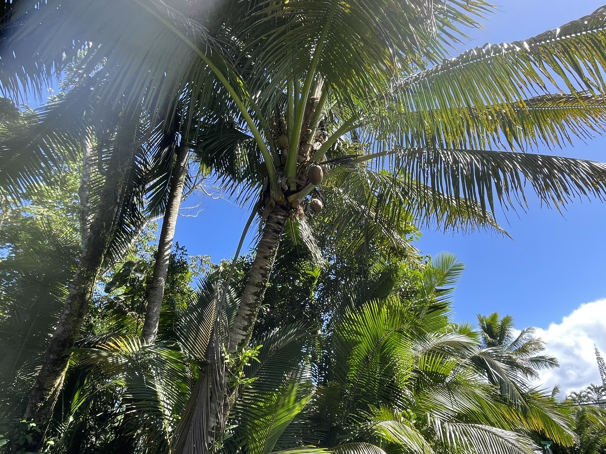 N Kahakai Blvd Property Photo 11