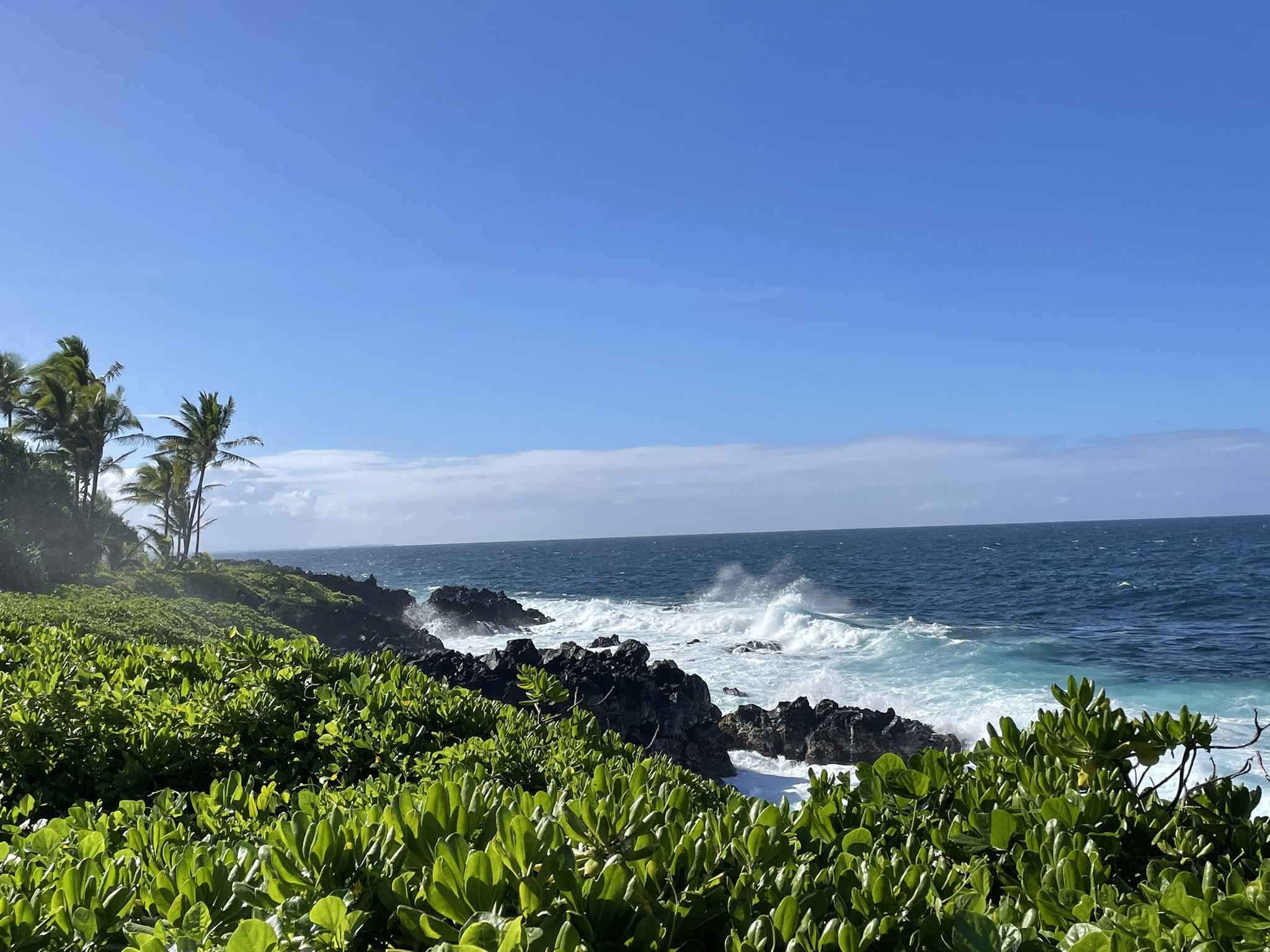 N Kahakai Blvd Property Photo 14