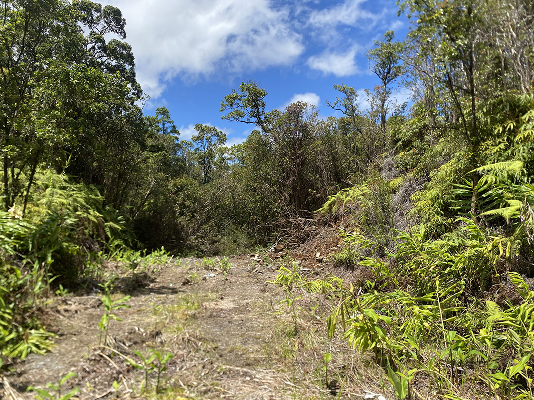 Road 10 Property Photo 2