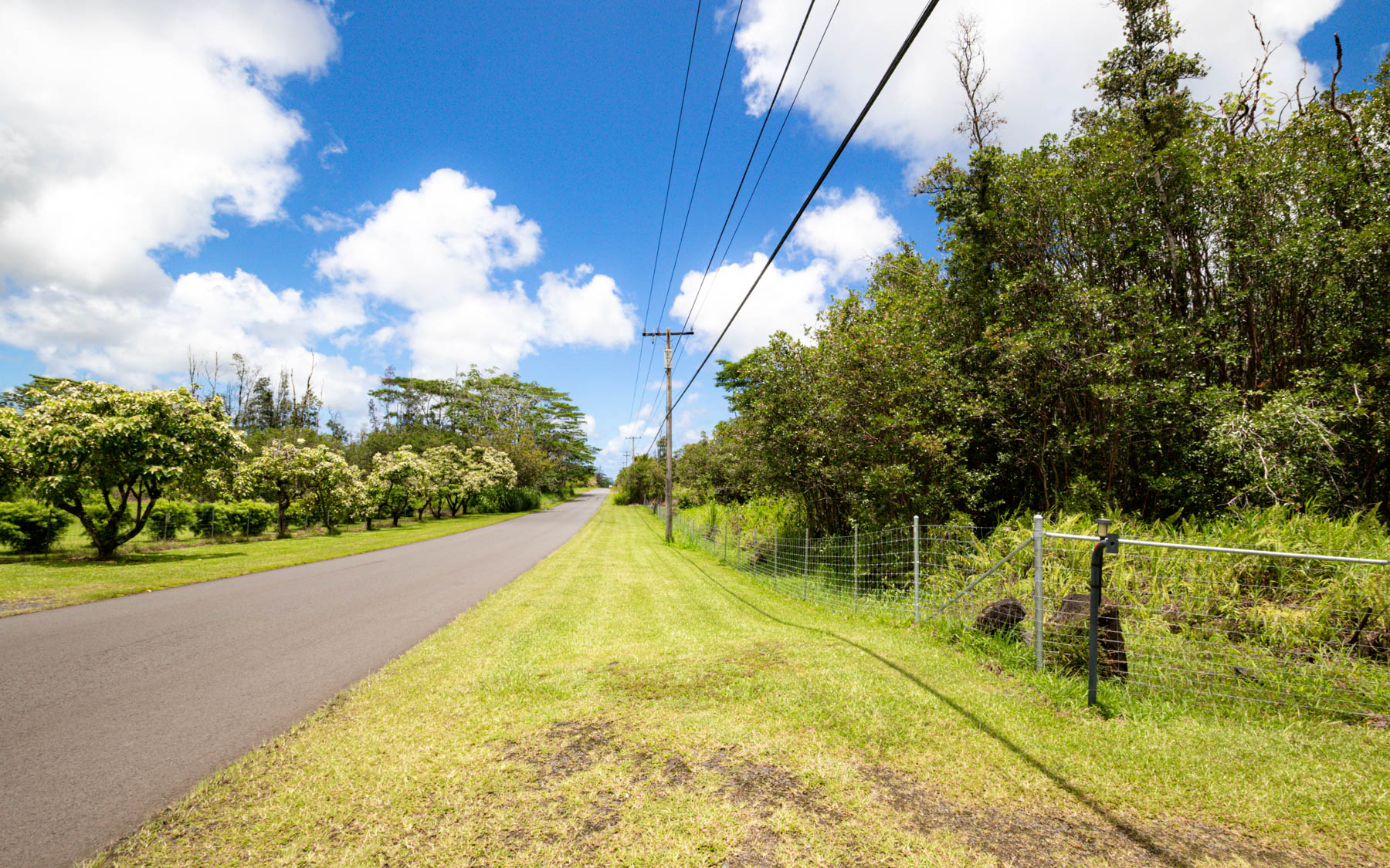 16-381 Orchidland Dr Property Photo 28