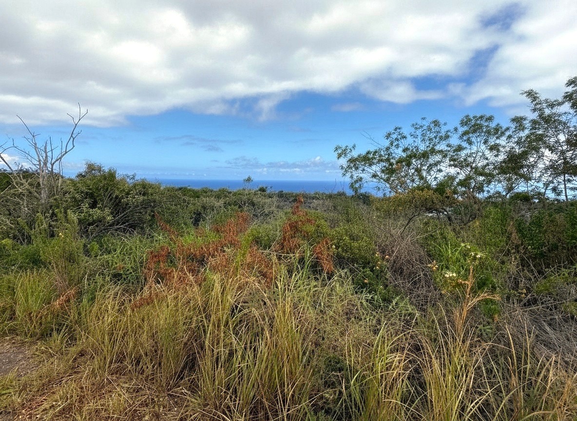 Maile Dr Property Photo 1