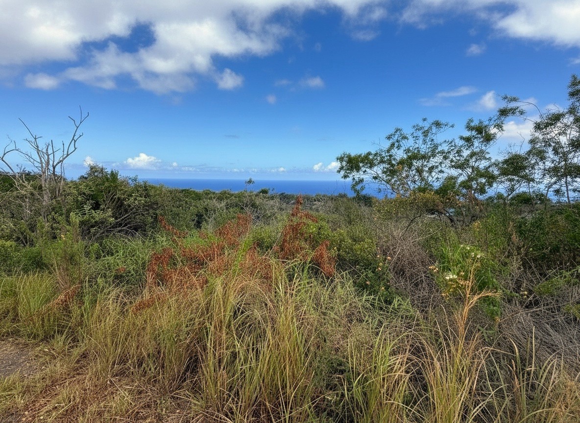 Maile Dr Property Photo 3