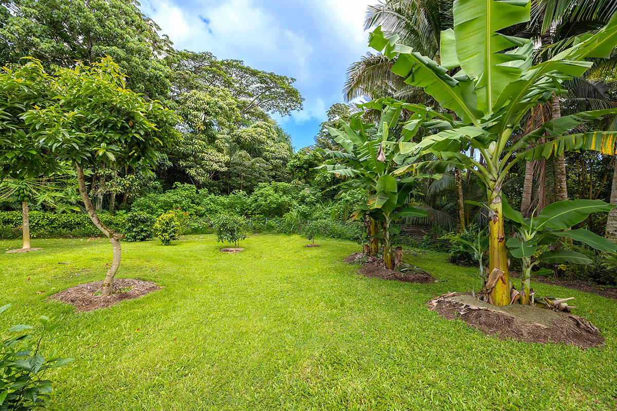 12-7087 Kaiwihala Pl Property Photo 10