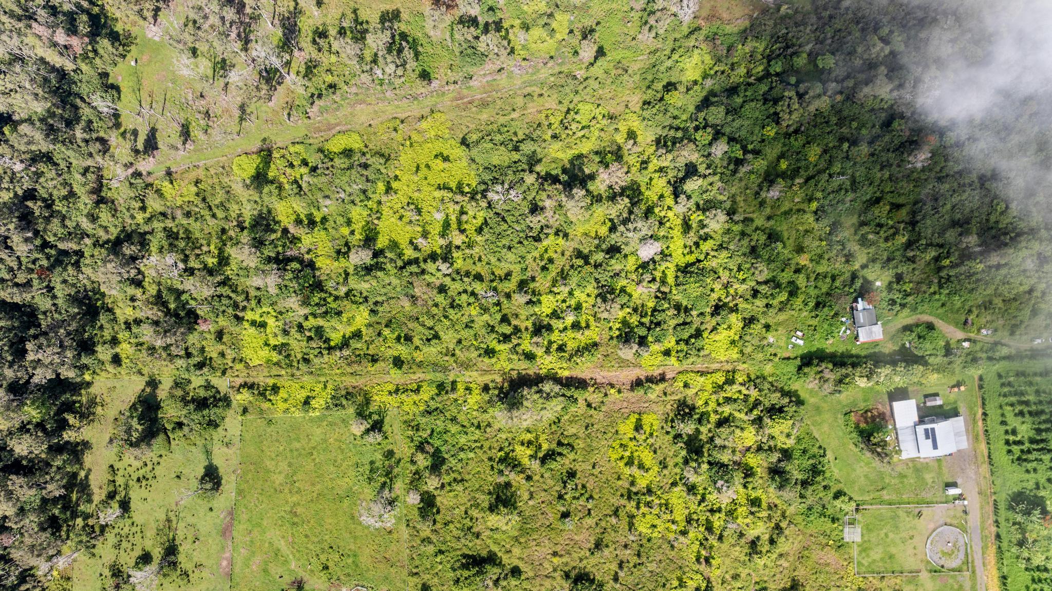76-1302 Waiono Ranch Rd Property Photo 16