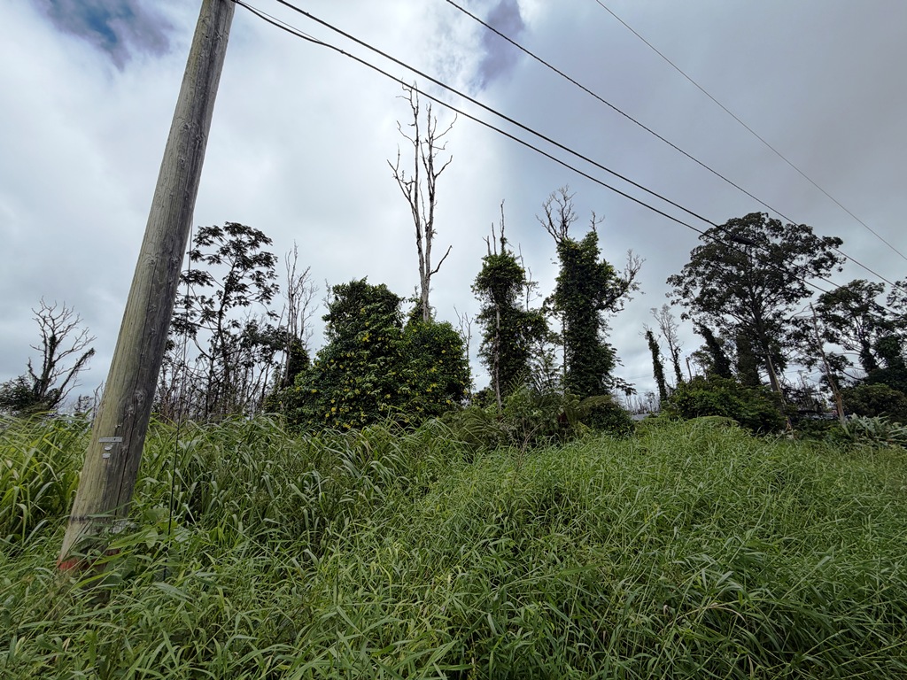 Coral Dr Property Photo 3