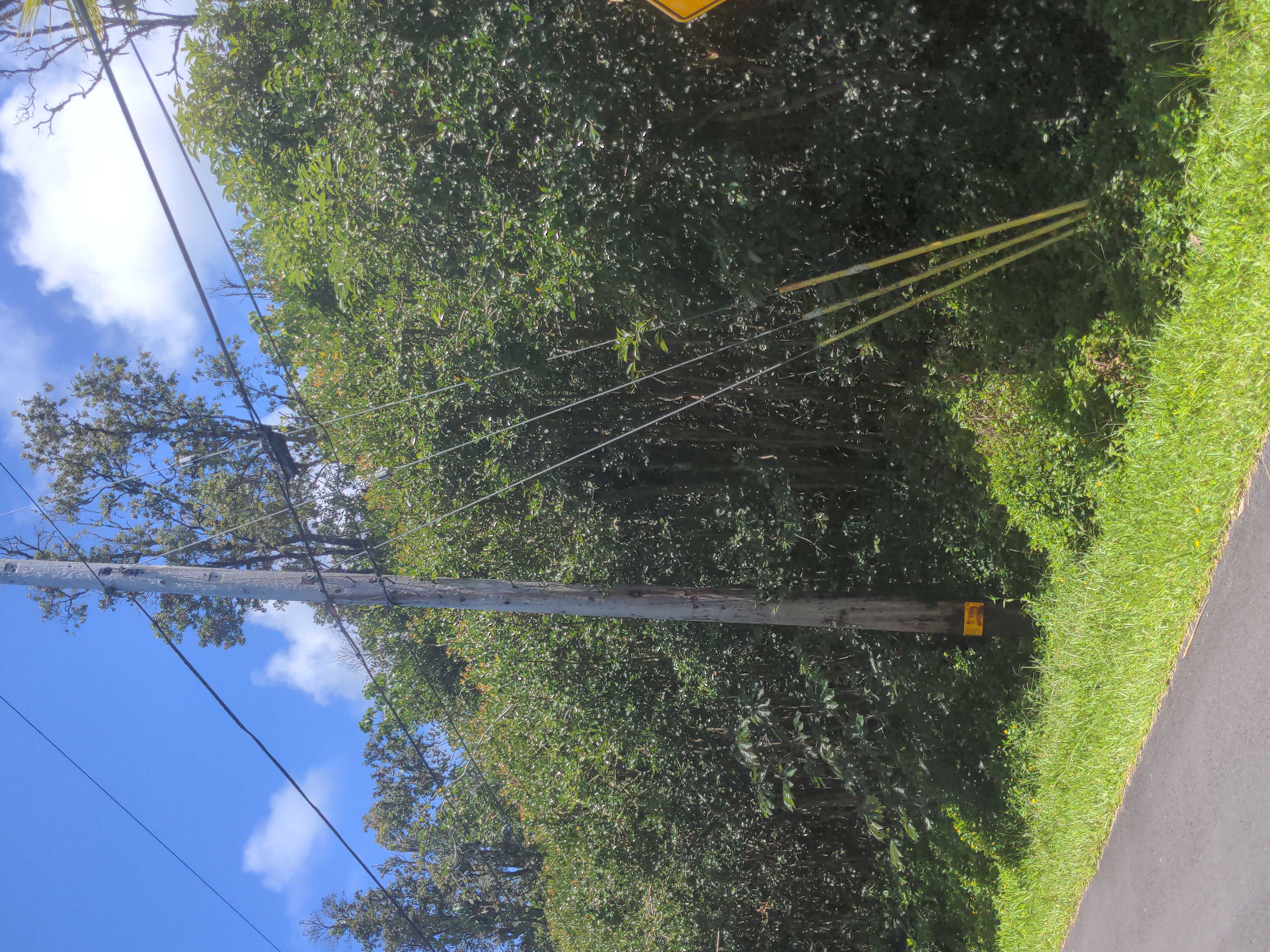Kaku St Property Photo 2