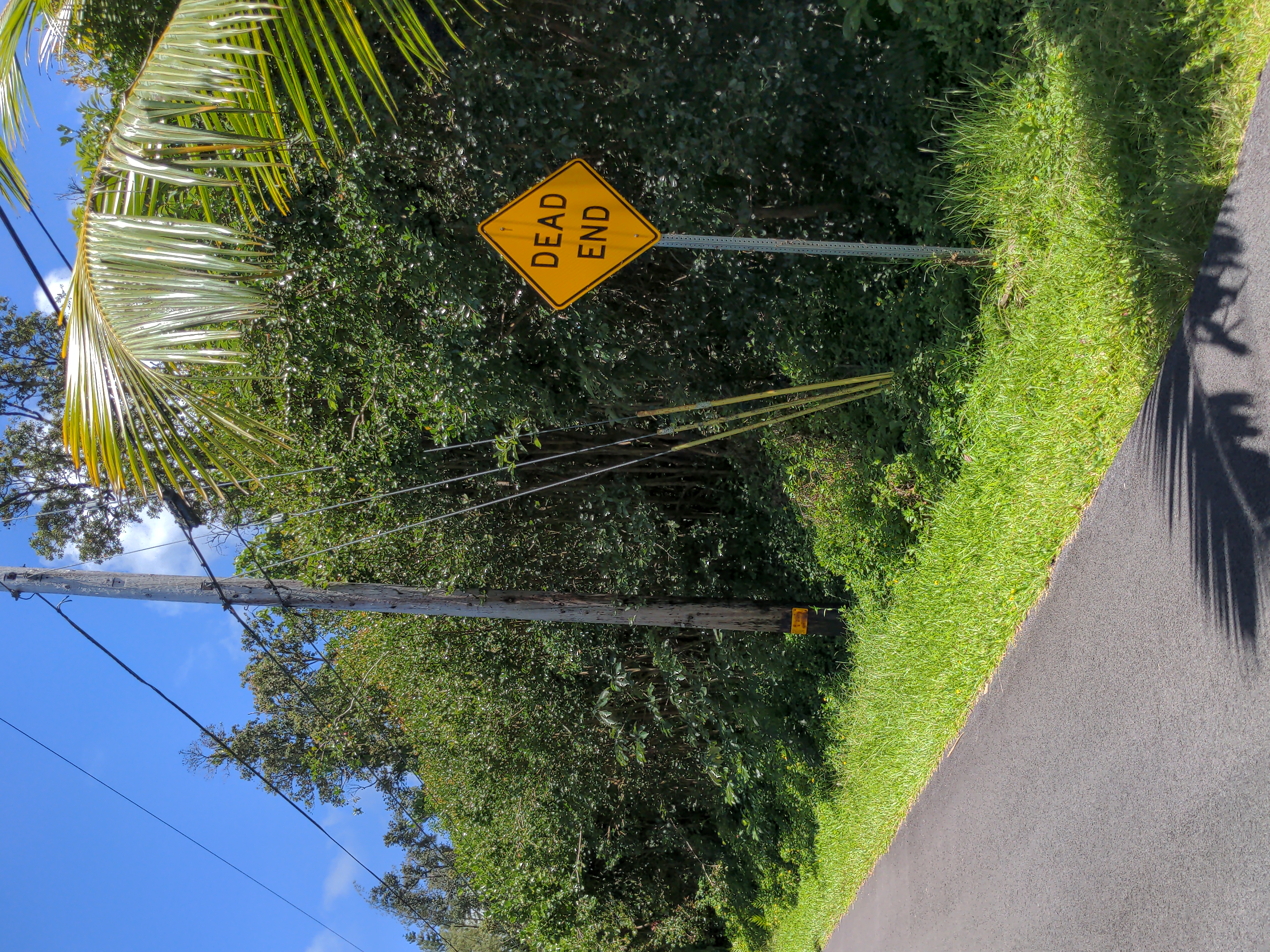 Kaku St Property Photo 5