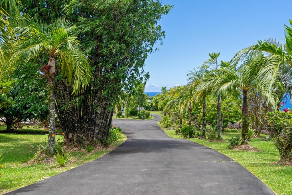 31-184 Hawaii Belt Rd Property Photo 29