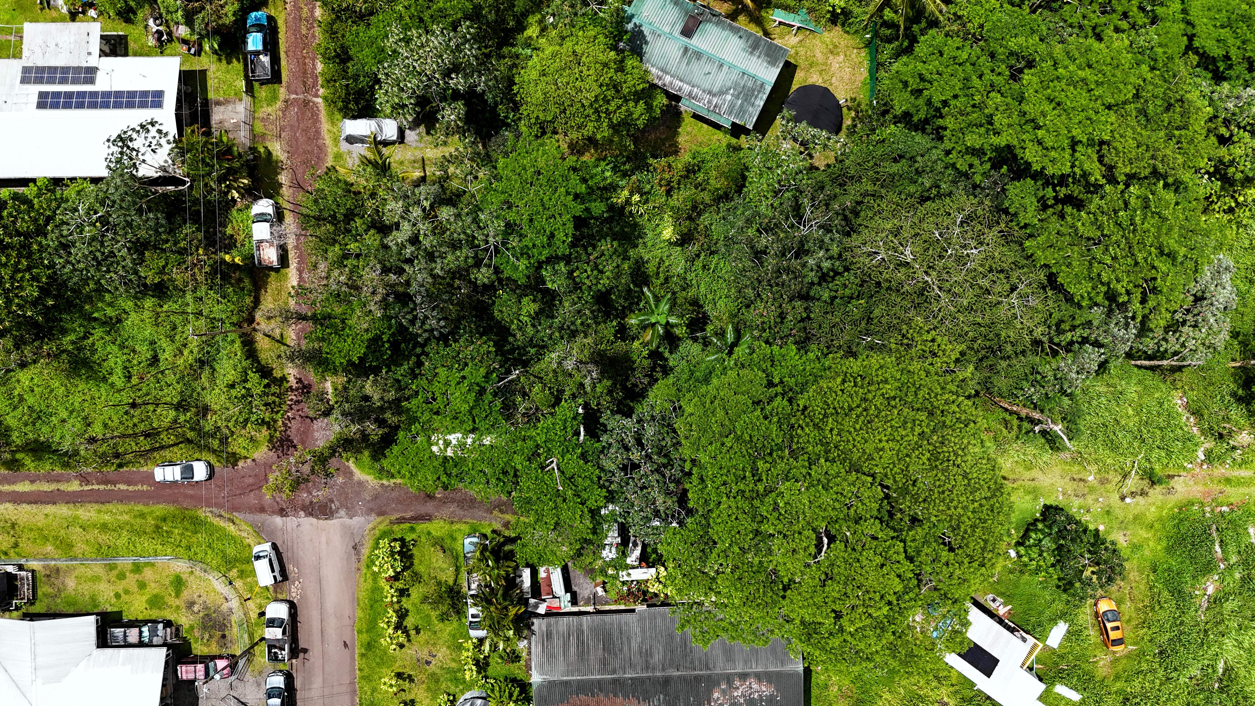 Silversword Ct Property Photo 6