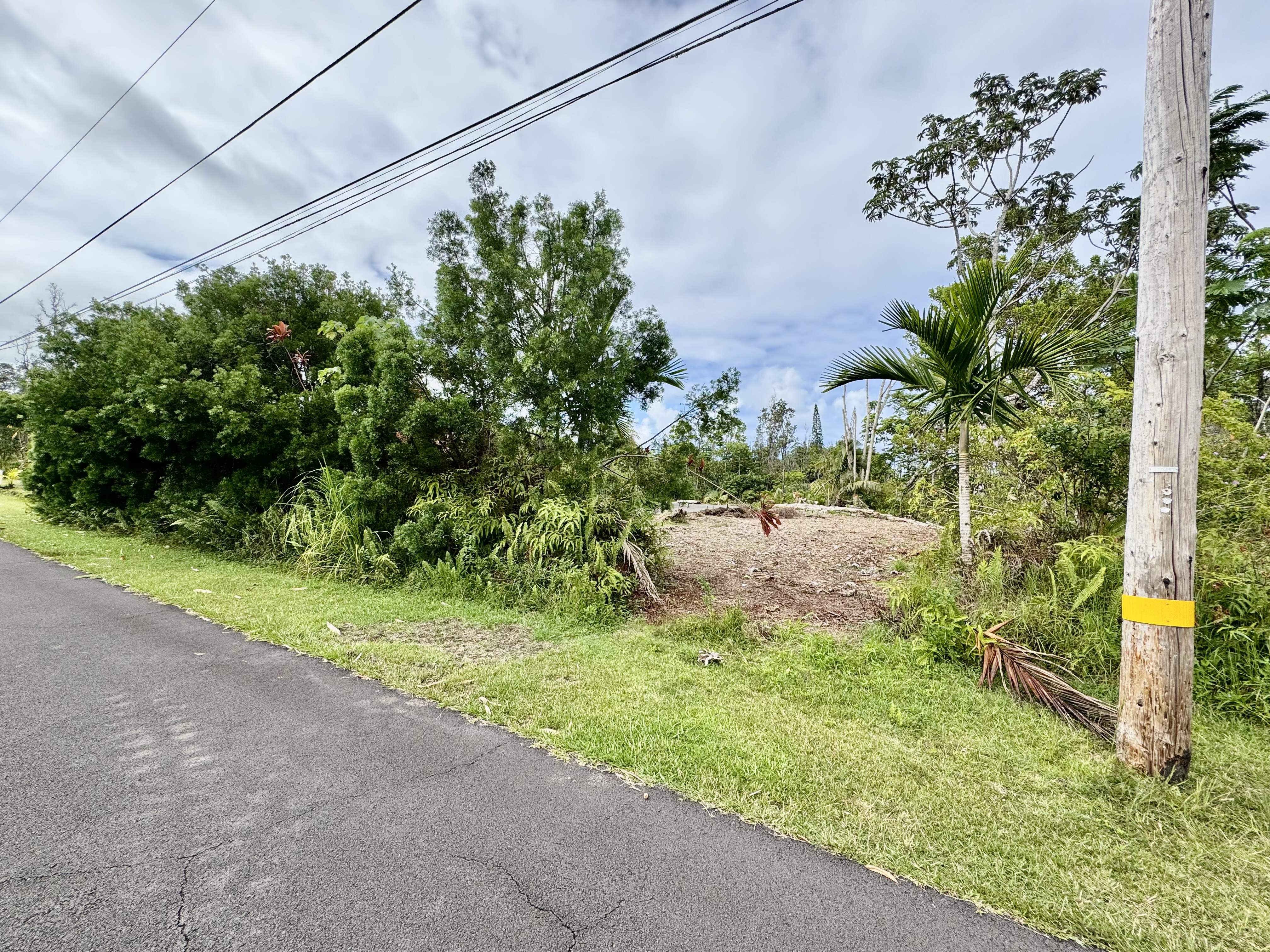 15-2807 Lai St Property Photo 3