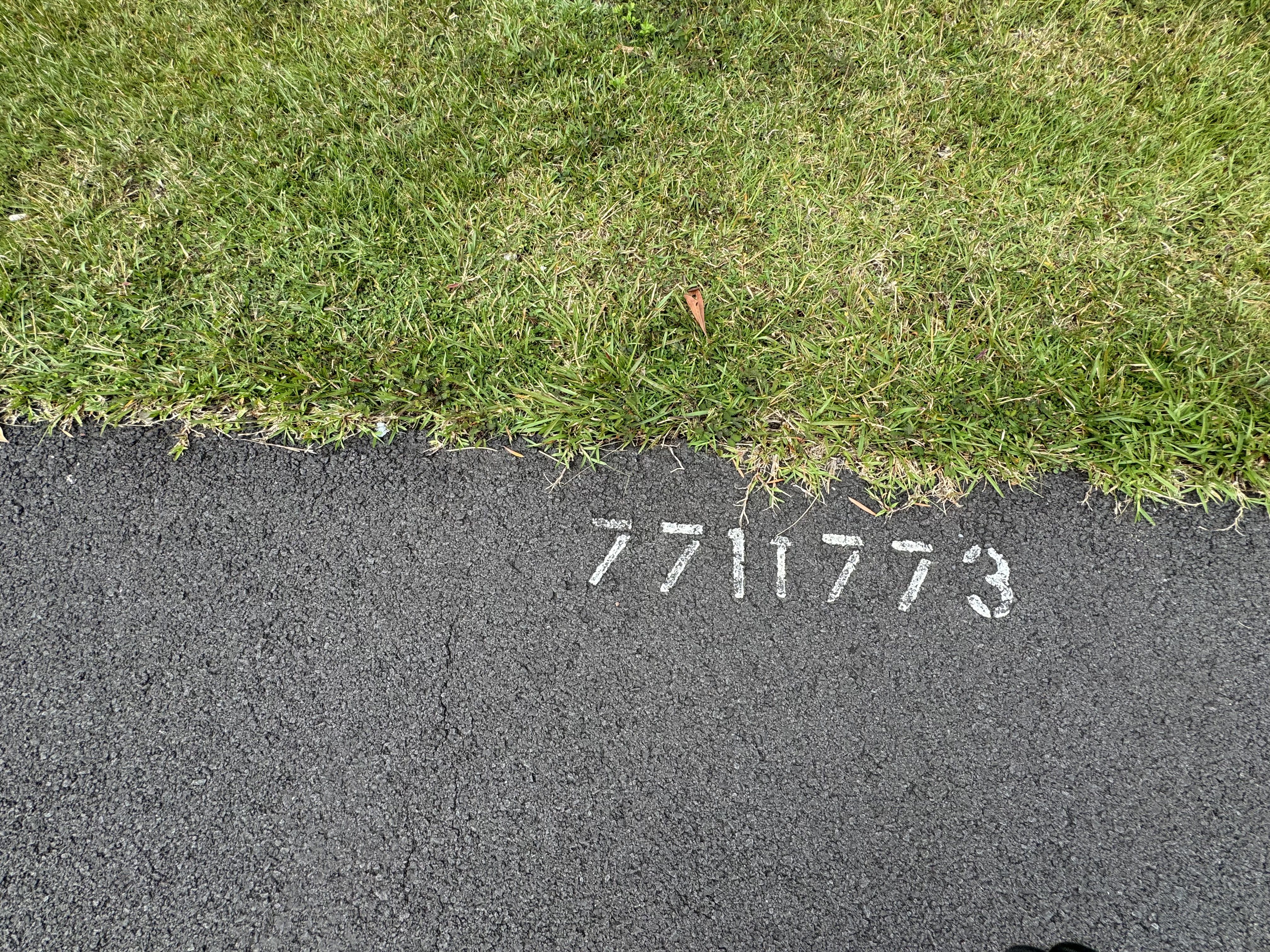 15-2807 Lai St Property Photo 5