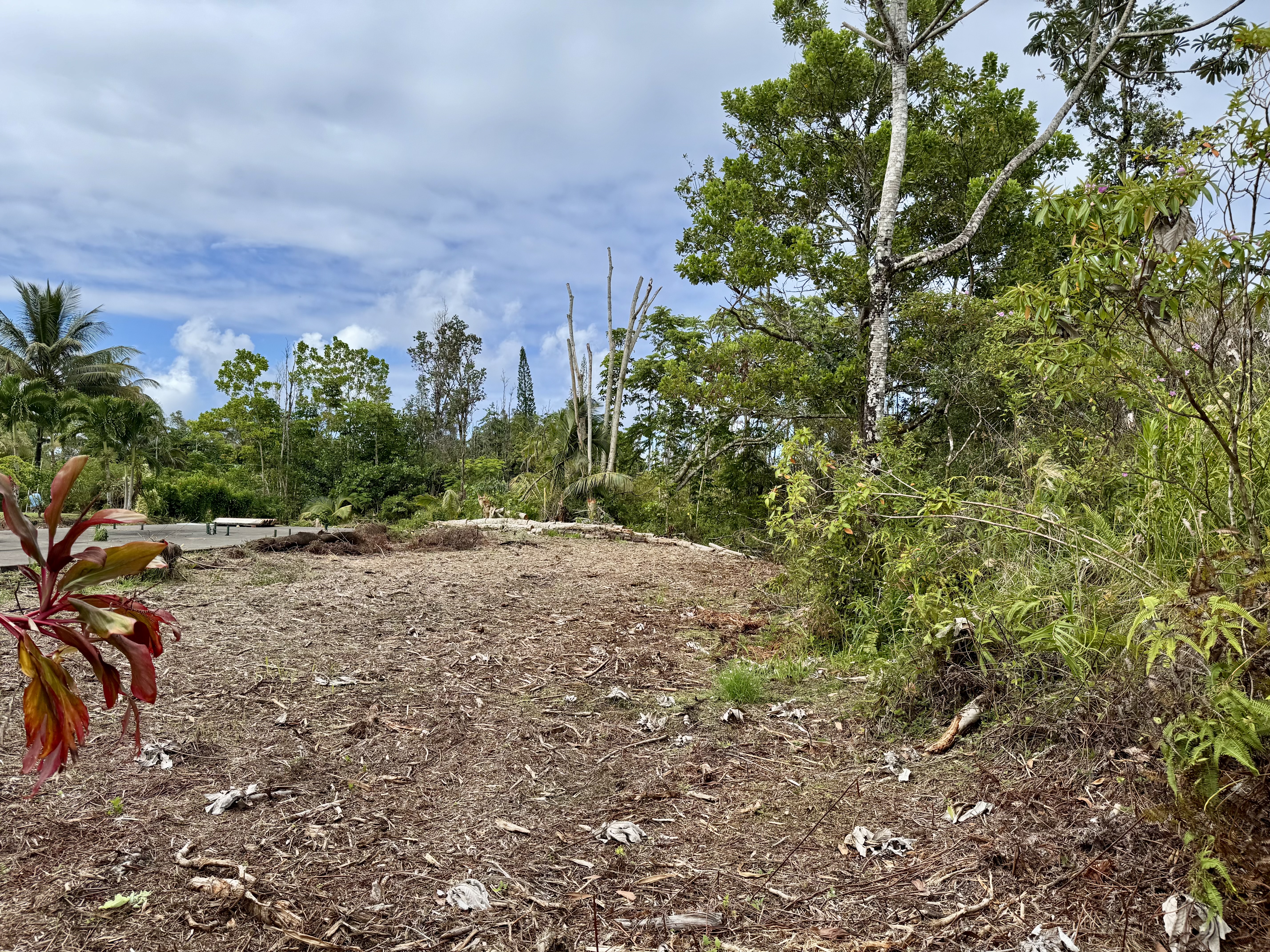 15-2807 Lai St Property Photo 6