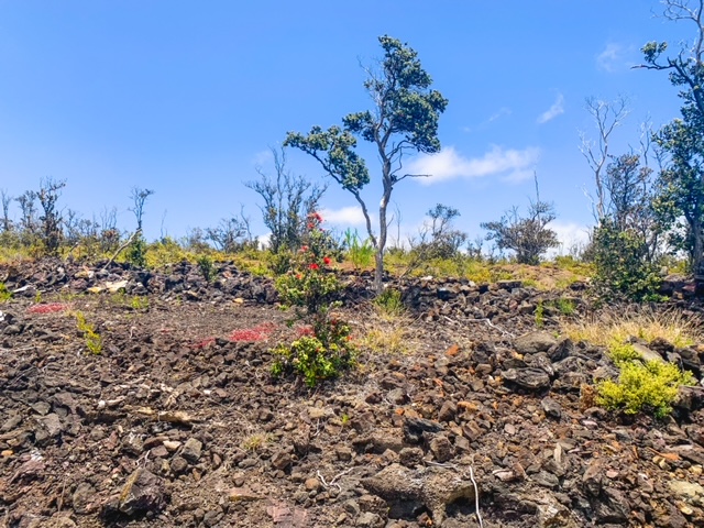 Pineapple Pkwy Property Photo 1