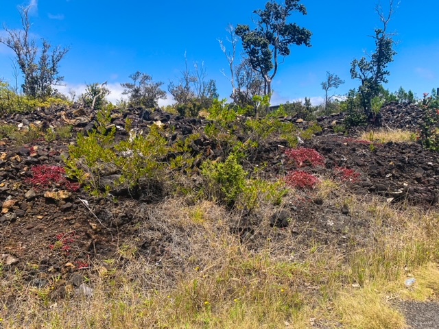 Pineapple Pkwy Property Photo 2