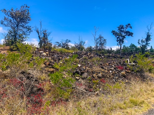 Pineapple Pkwy Property Photo 3