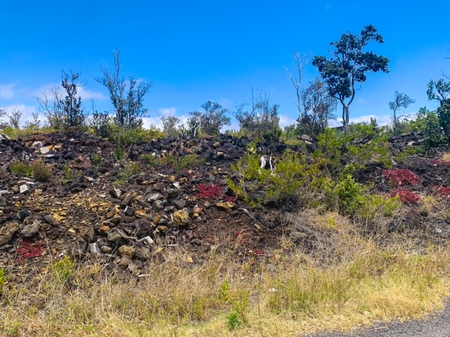 Pineapple Pkwy Property Photo 4