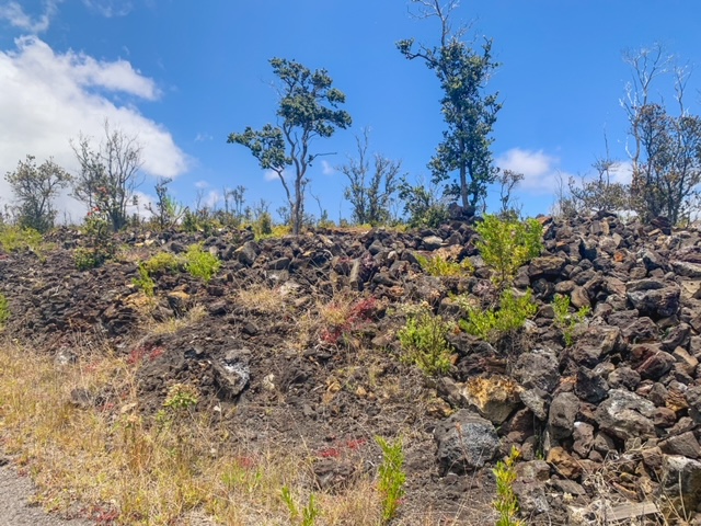 Pineapple Pkwy Property Photo 6