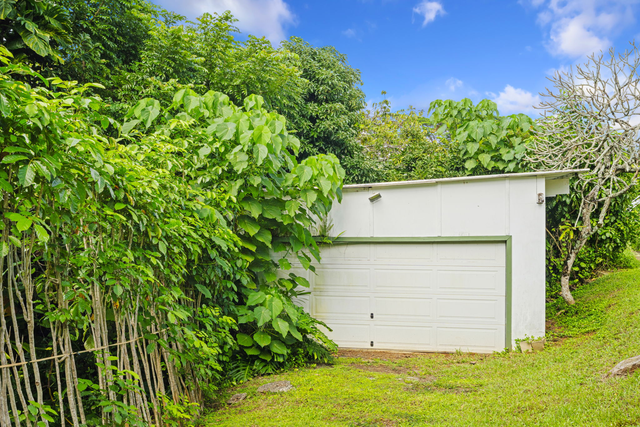 6250 Olohena Rd 2 Property Photo 24