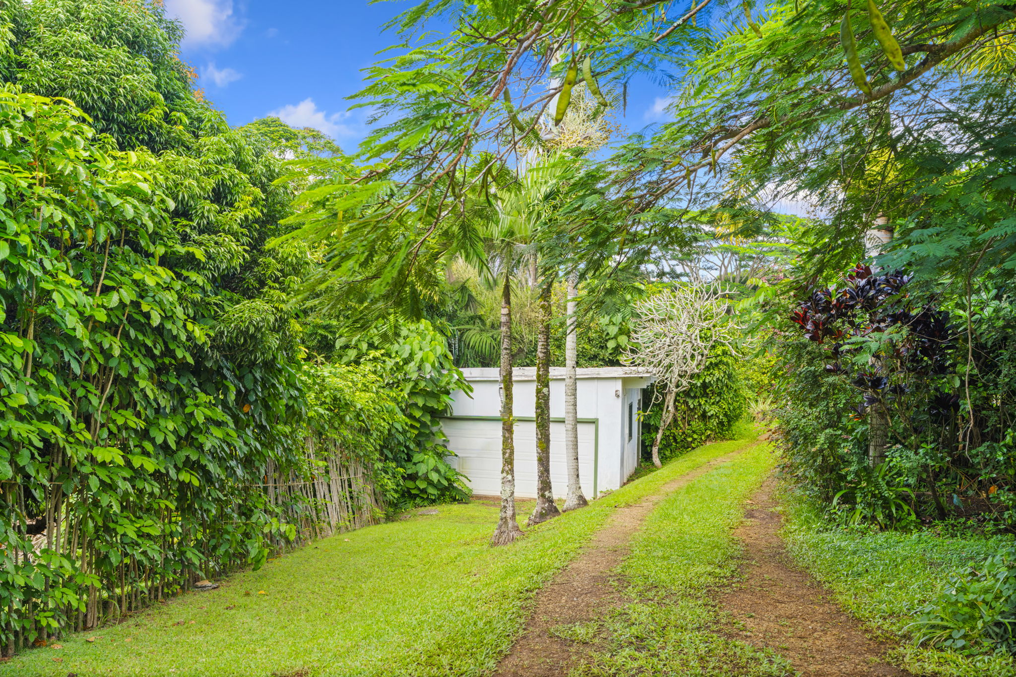 6250 Olohena Rd 2 Property Photo 25