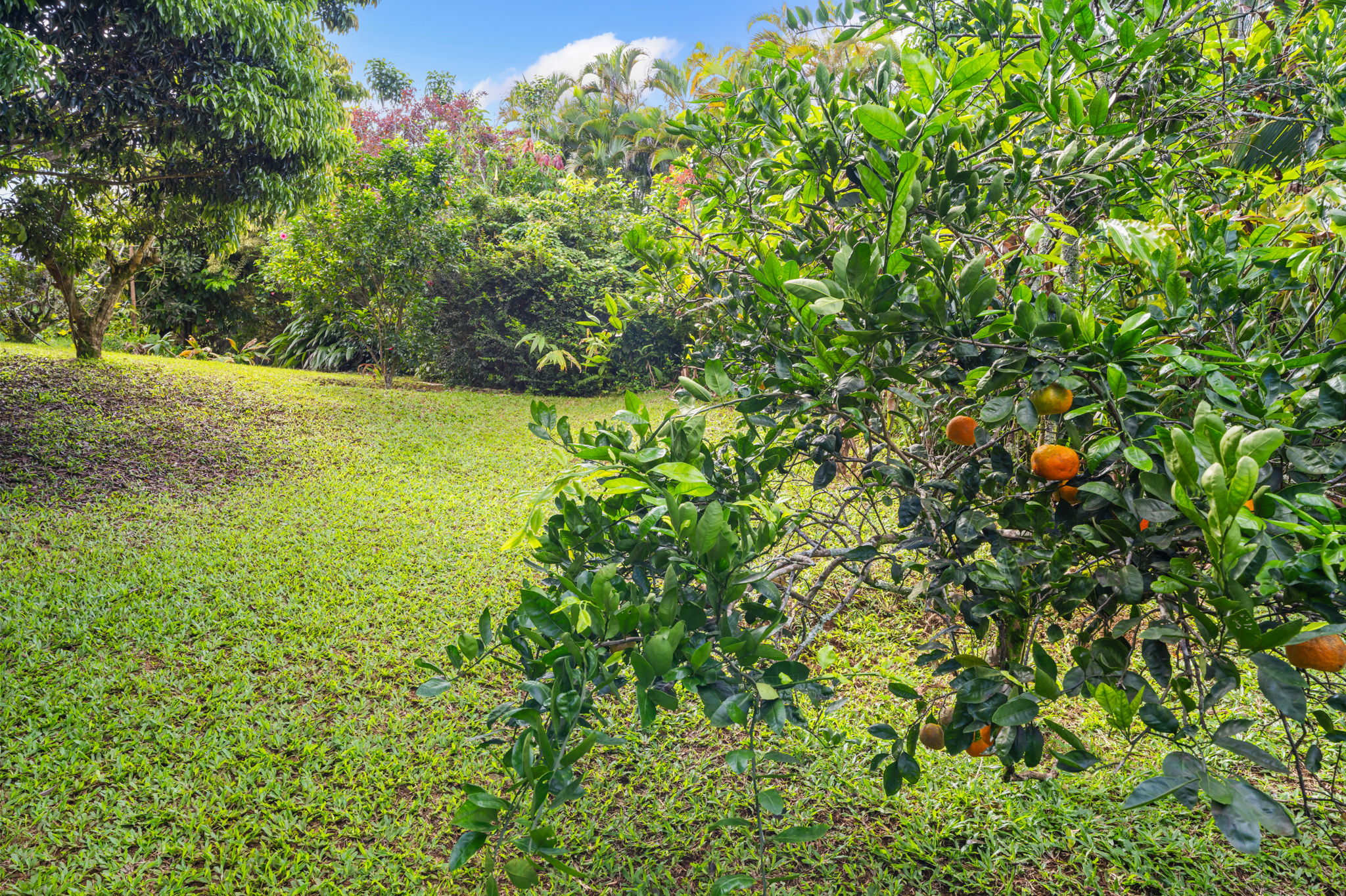 6250 Olohena Rd 2 Property Photo 26