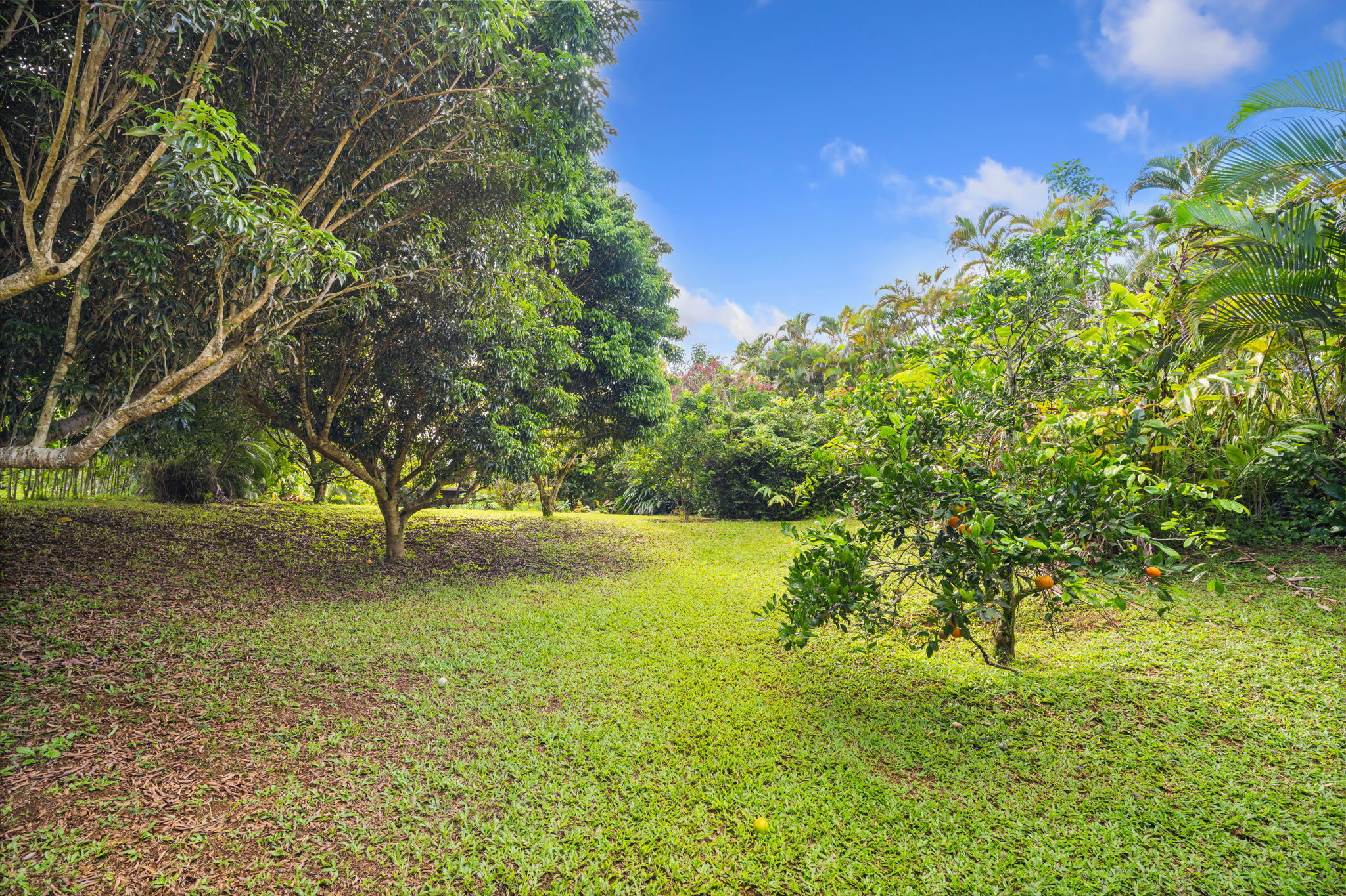 6250 Olohena Rd 2 Property Photo 27