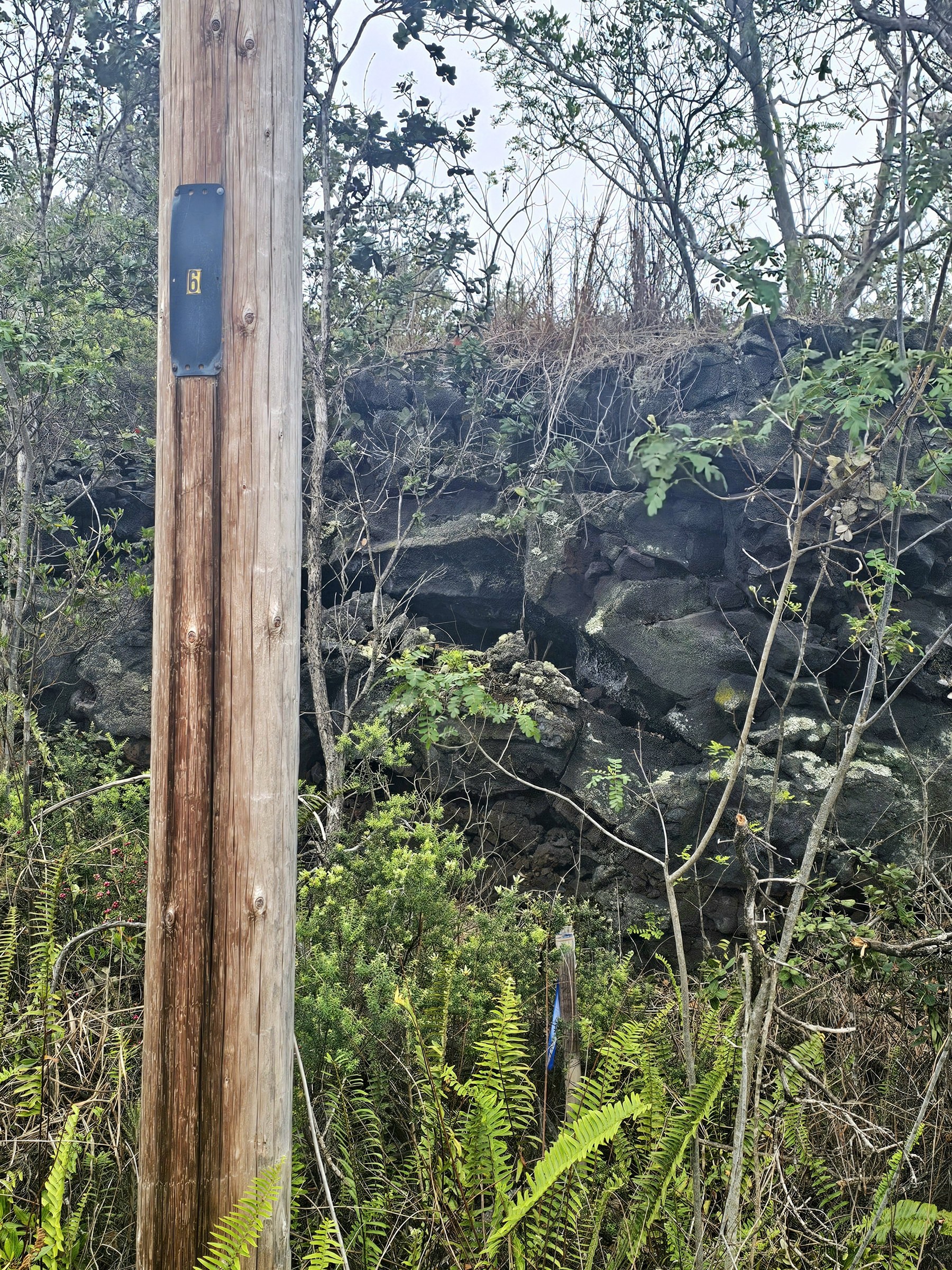 Catamaran Ln 9 Property Photo 15