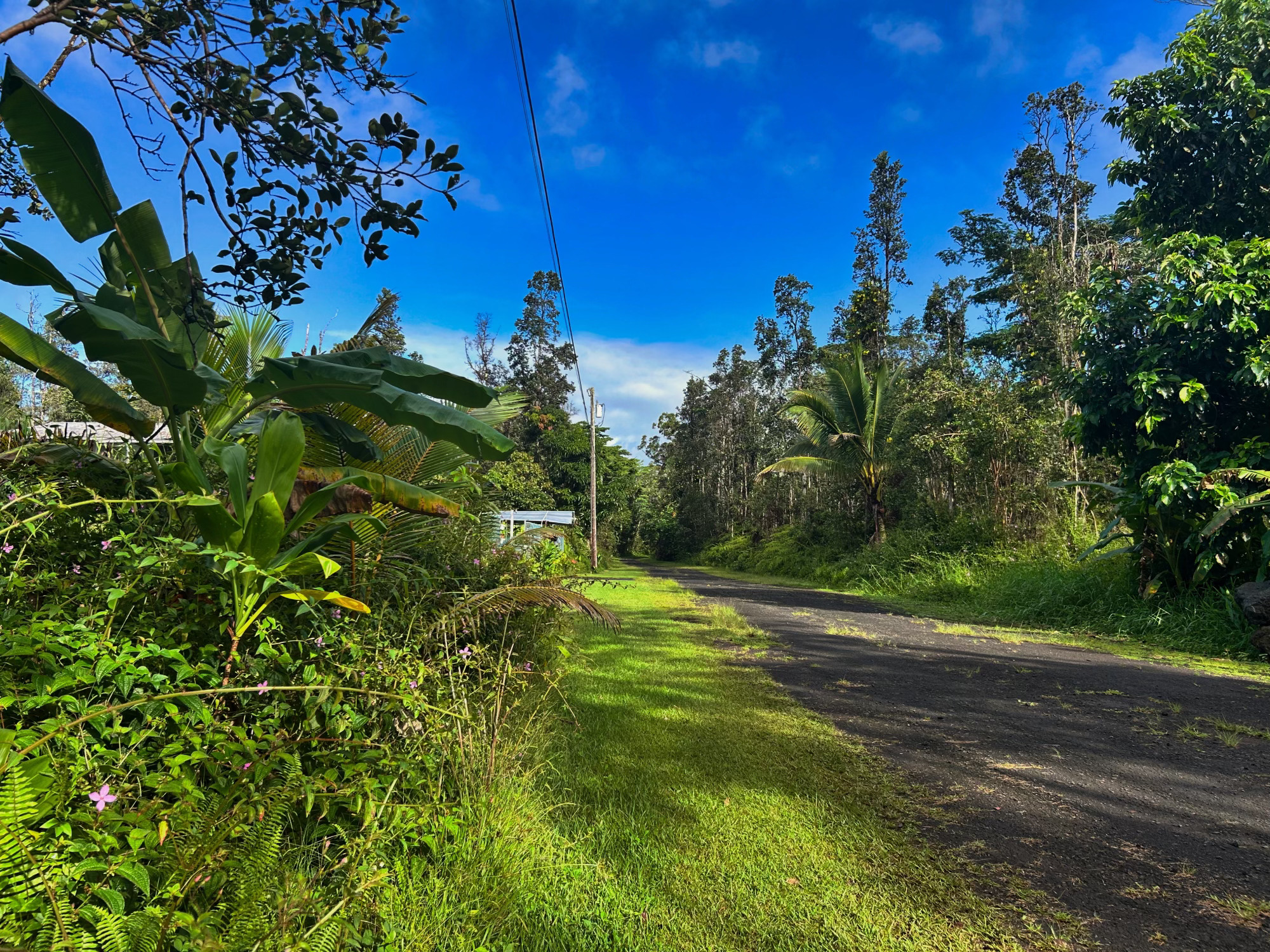 Pahoa Rd Property Photo 1