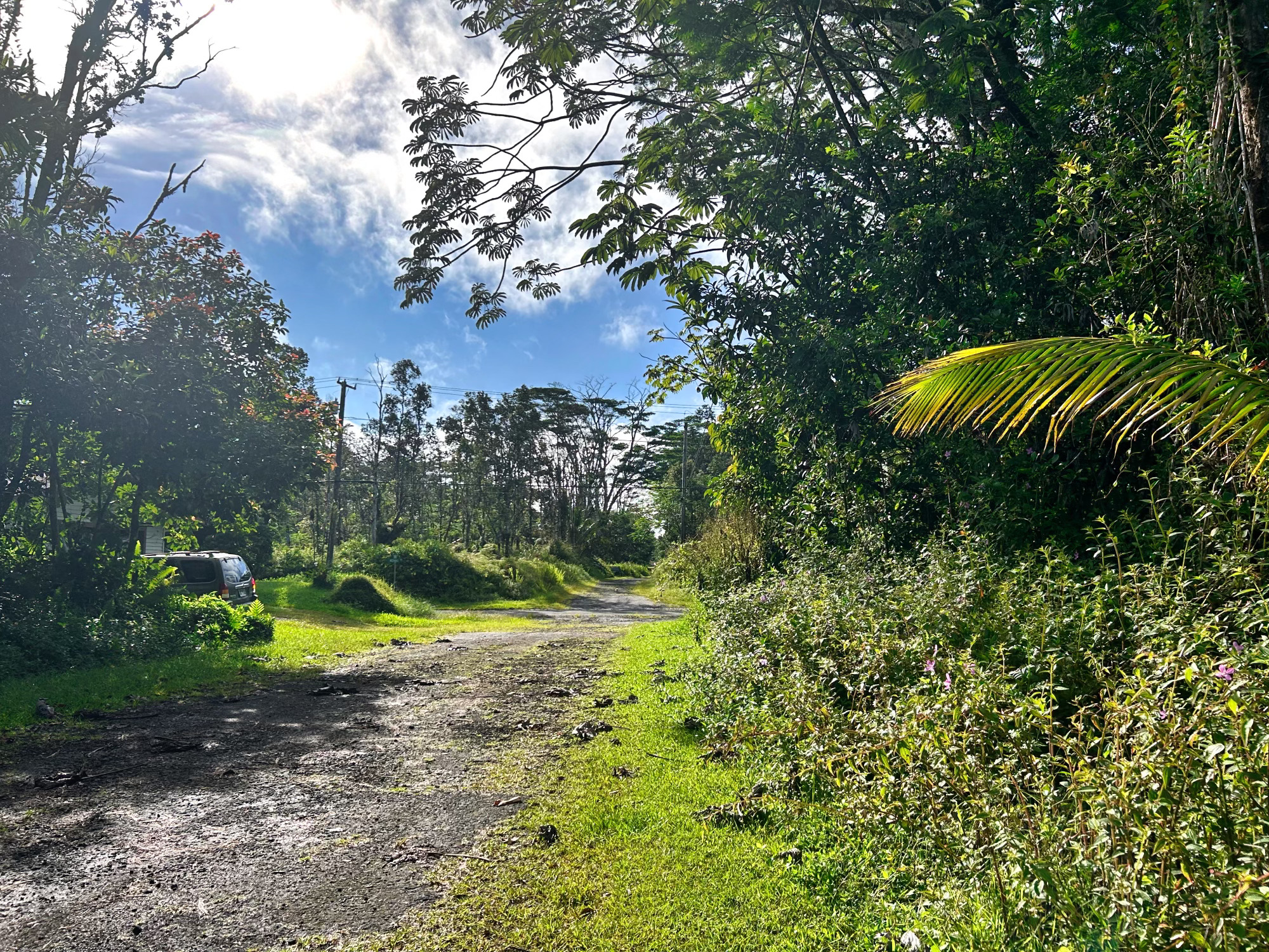 Pahoa Rd Property Photo 3