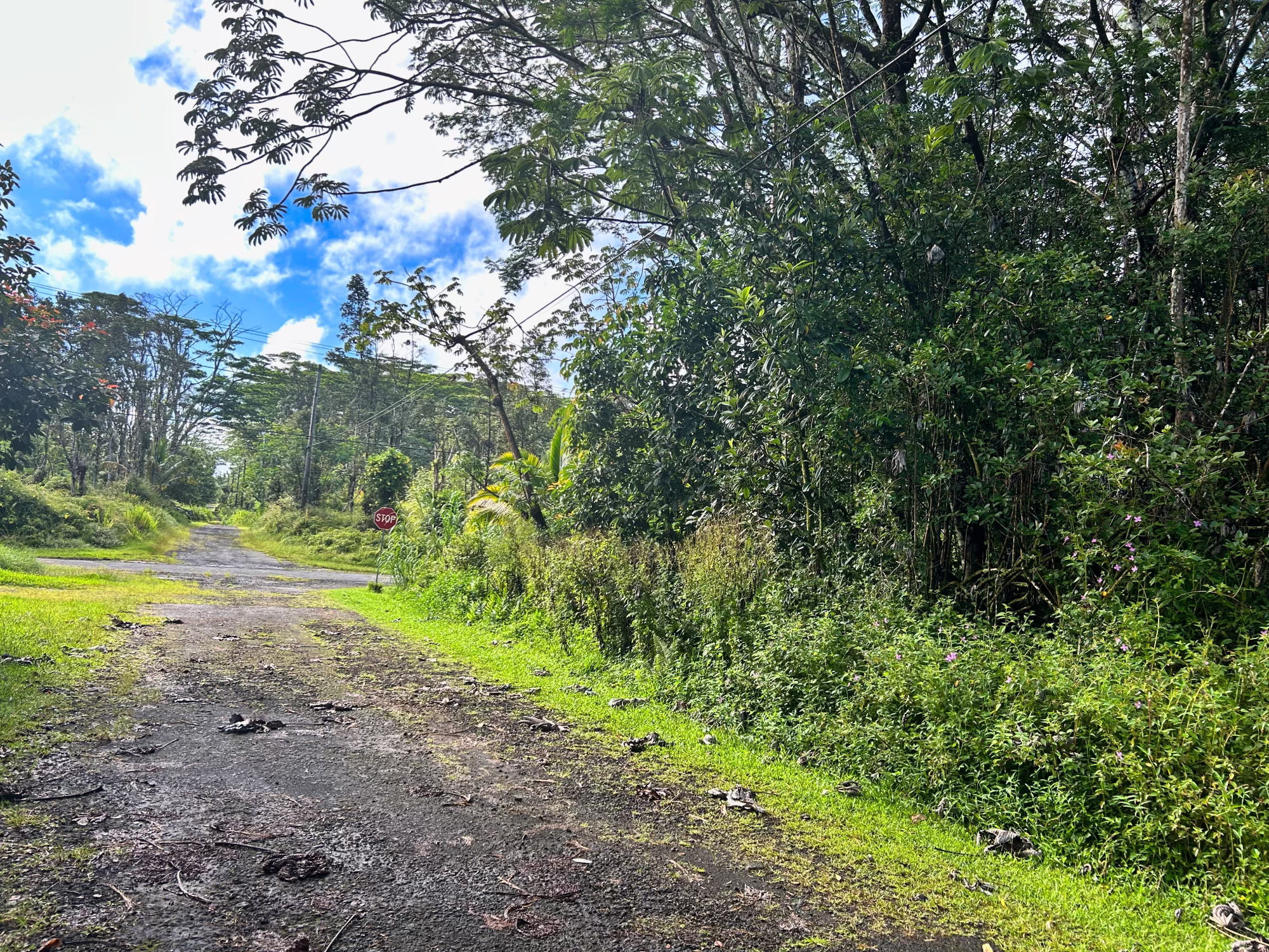 Pahoa Rd Property Photo 6