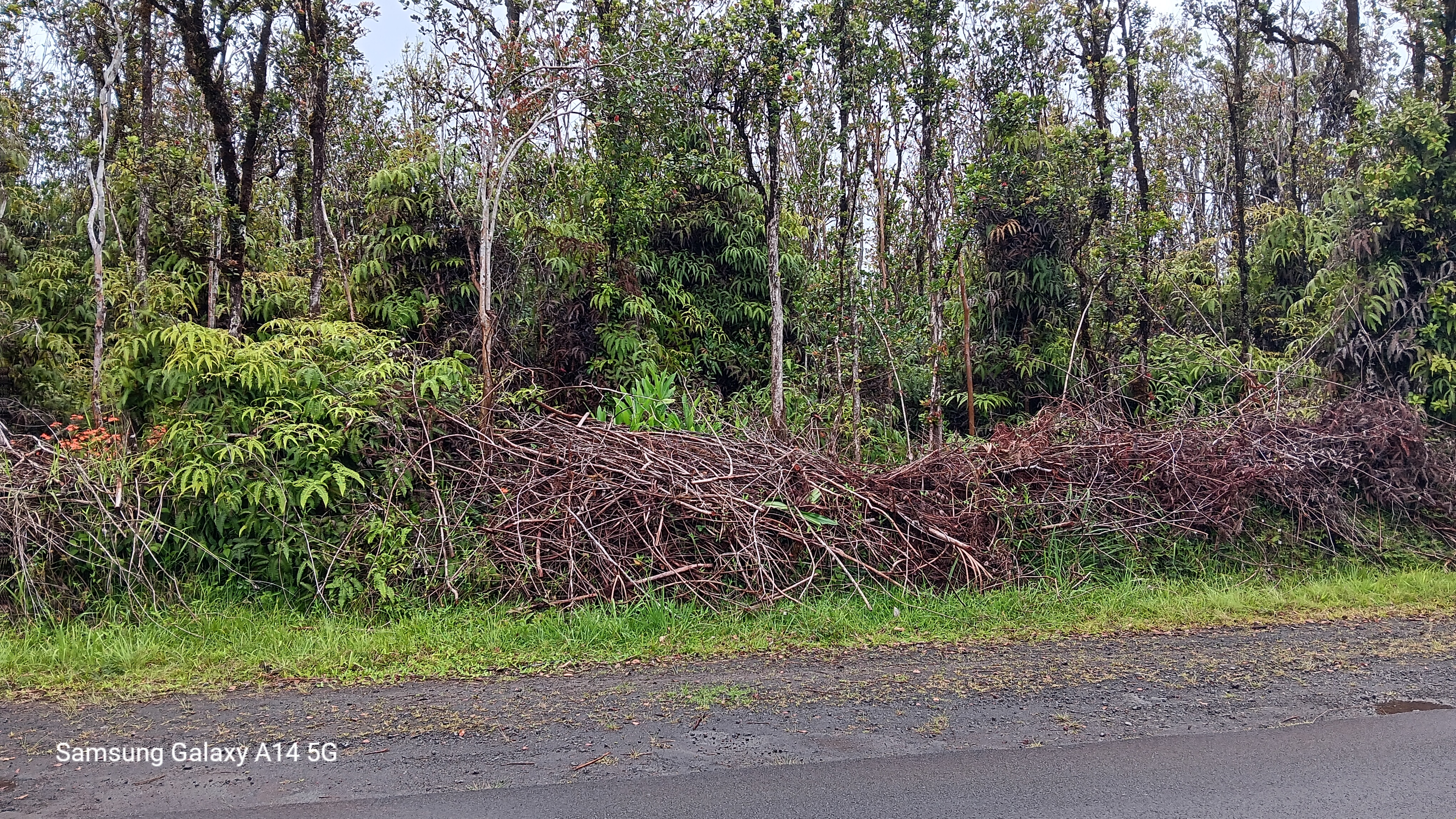 Ohia Ave Property Photo 4