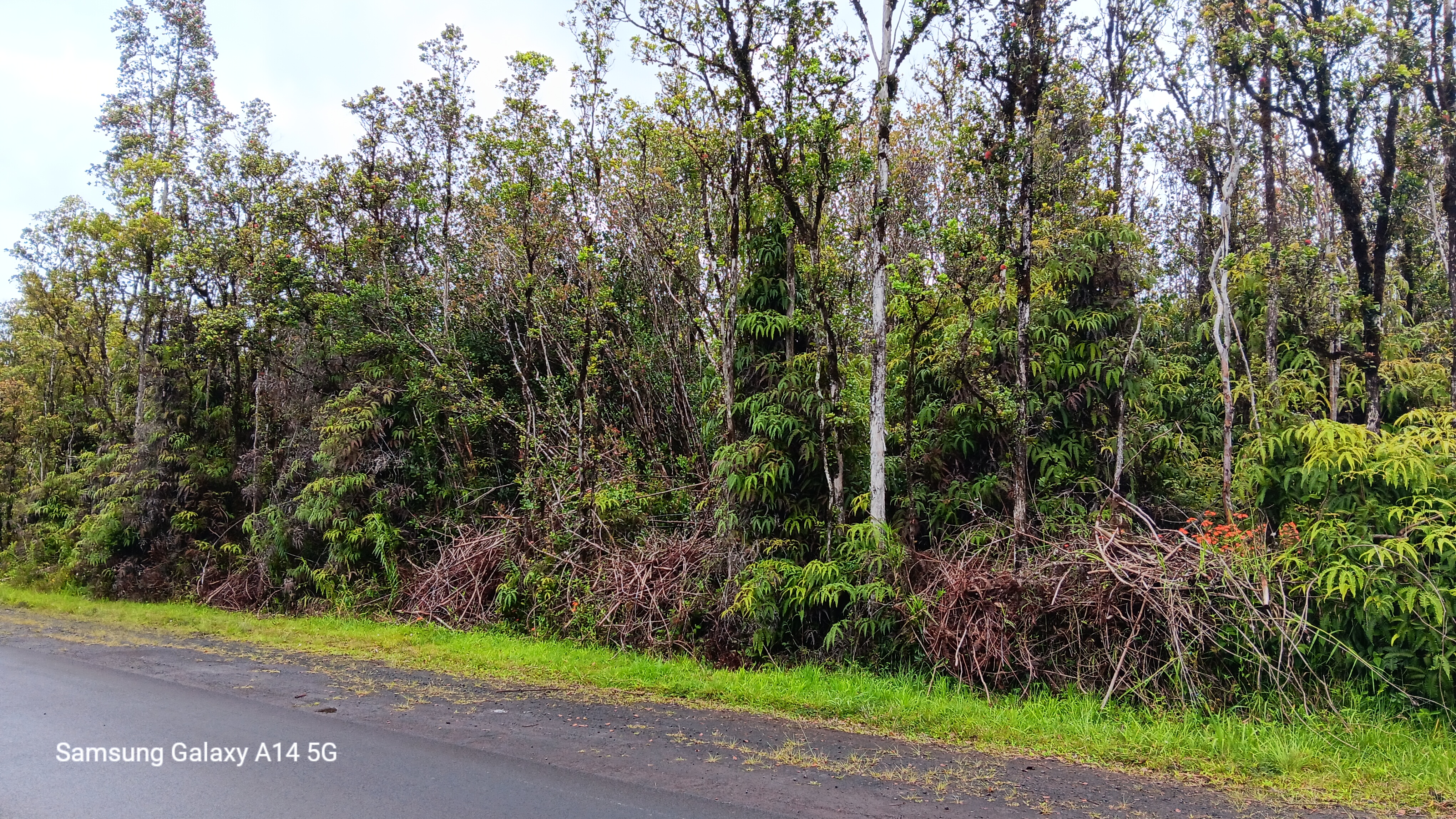 Ohia Ave Property Photo 5