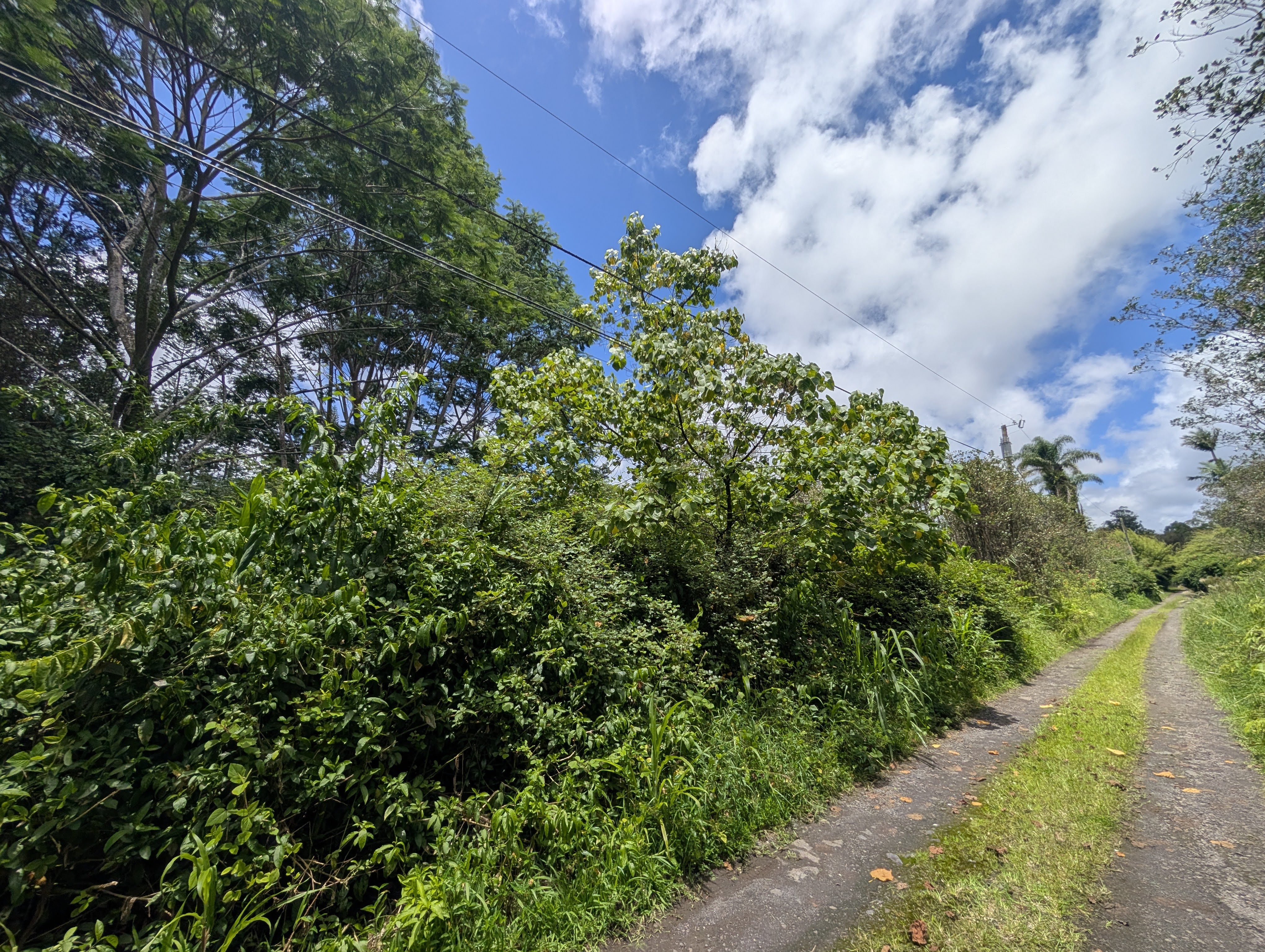 Keola Pl Property Photo 1