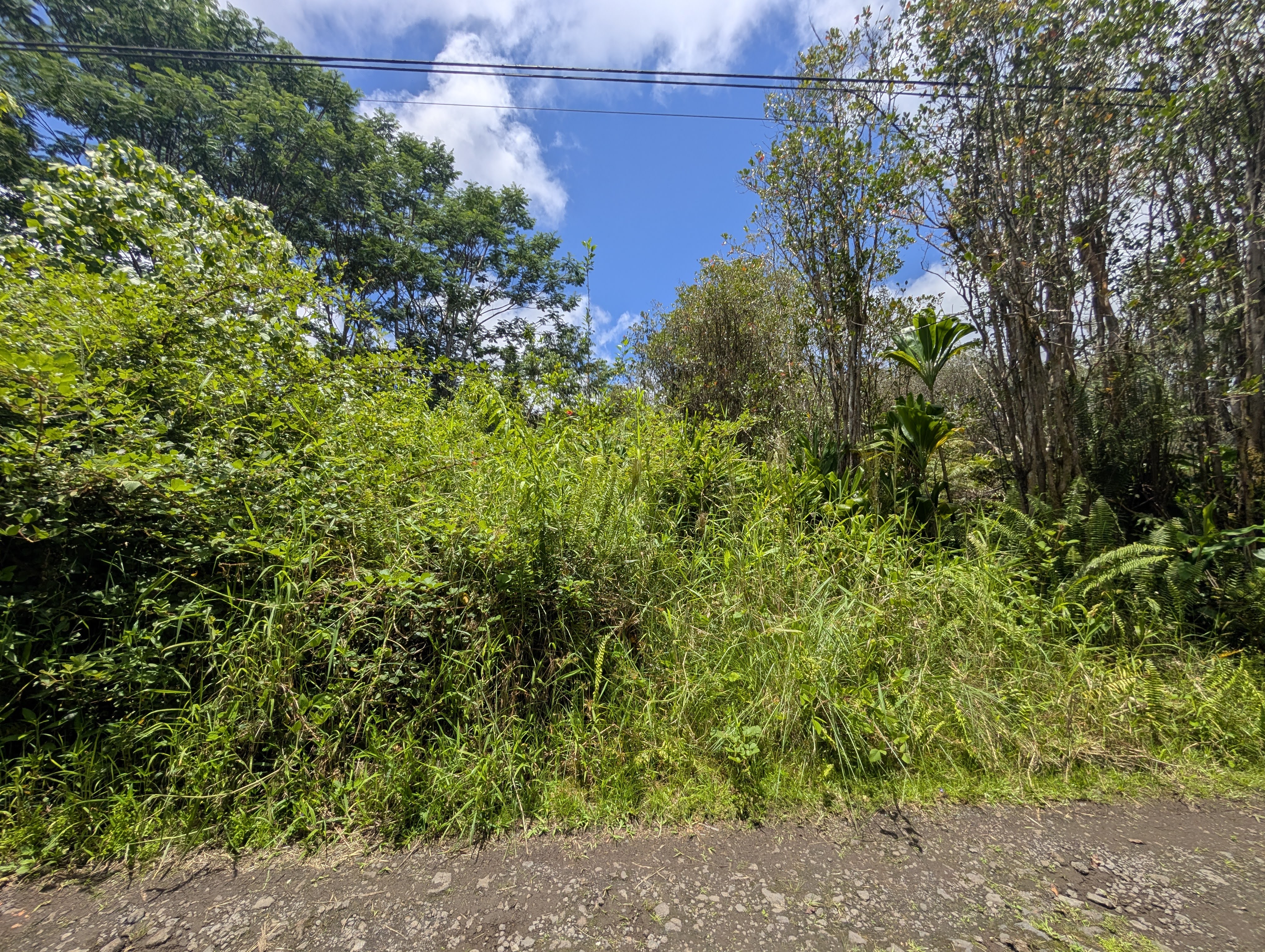 Keola Pl Property Photo 3