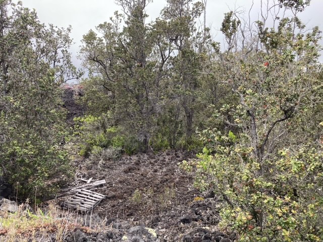 Ocean View Pkwy Property Photo 3