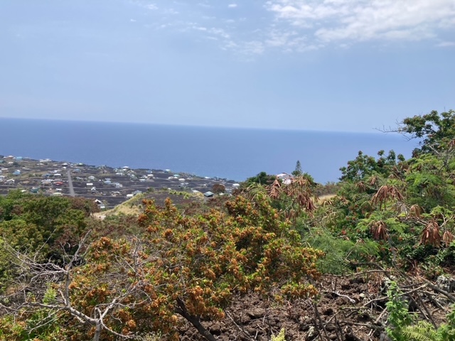Milolii Rd Property Photo 10