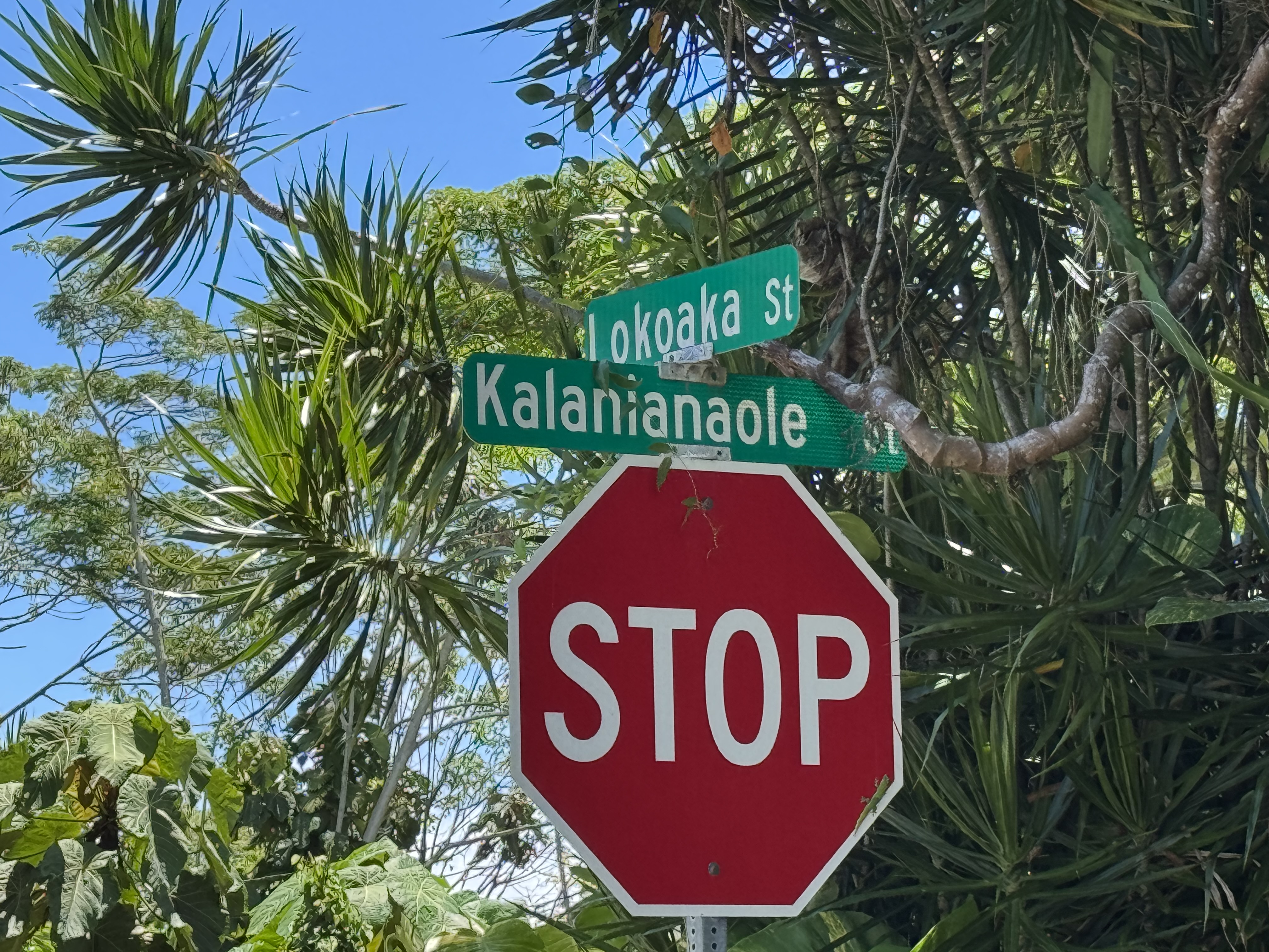 1868 Kalanianaole St Property Photo 29