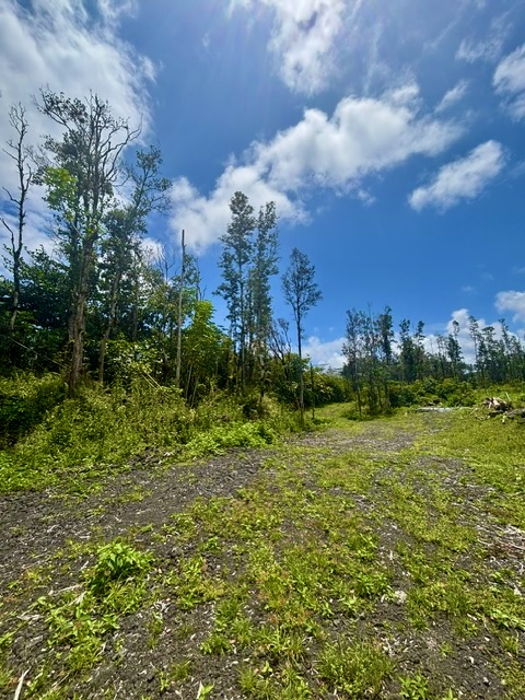 Nanawale Farms Rd Property Photo 6