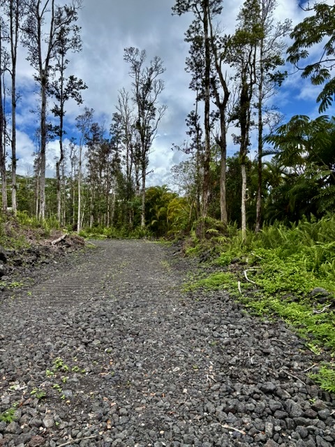 Nanawale Farms Rd Property Photo 7