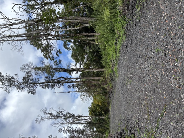 Nanawale Farms Rd Property Photo 8