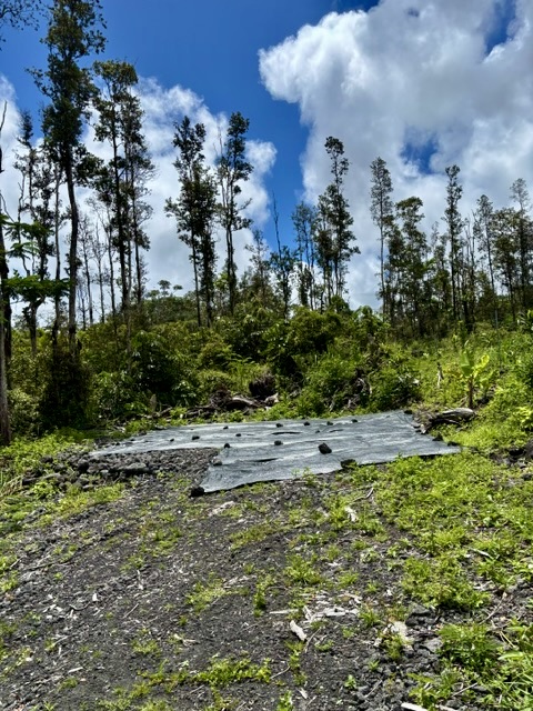 Nanawale Farms Rd Property Photo 10