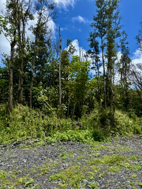 Nanawale Farms Rd Property Photo 11