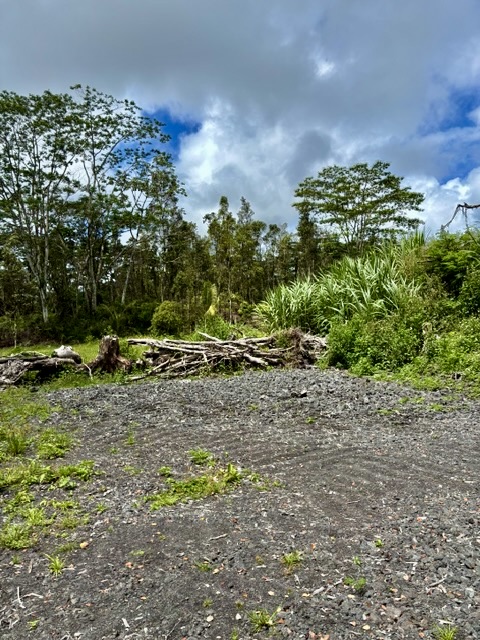 Nanawale Farms Rd Property Photo 12