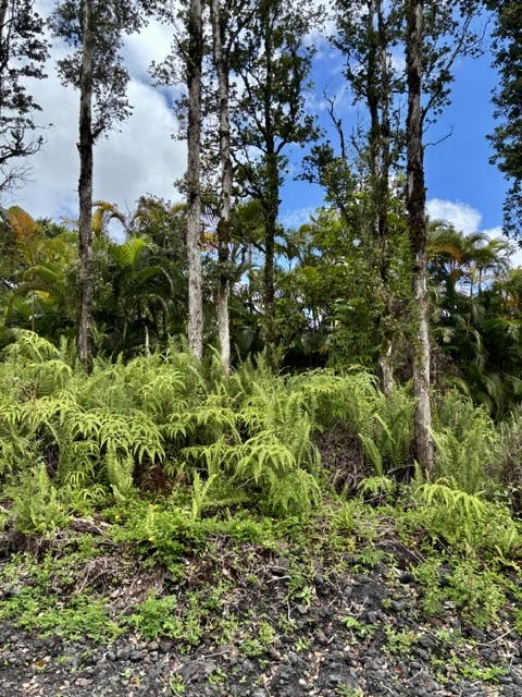 Nanawale Farms Rd Property Photo 13