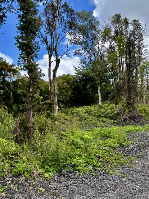 Nanawale Farms Rd Property Photo 14